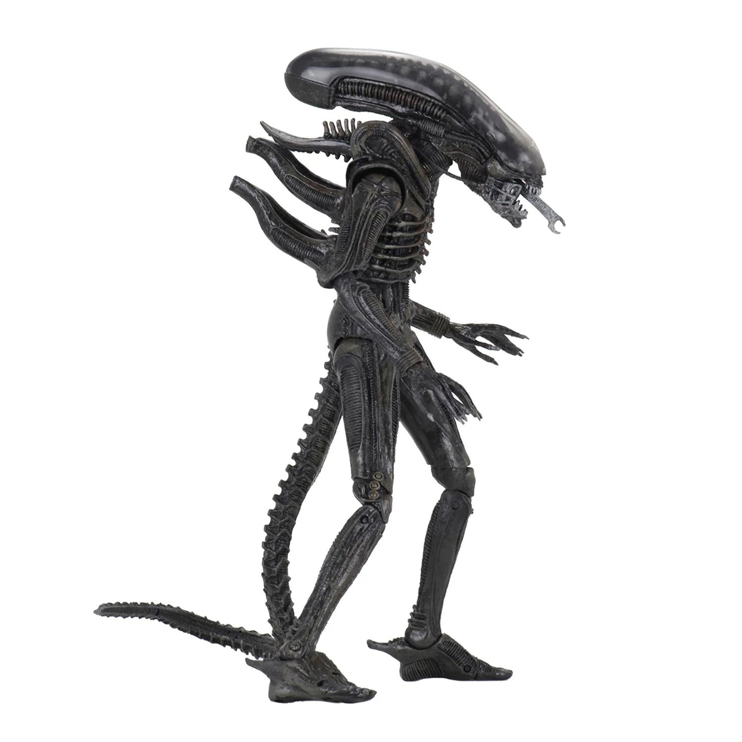 ALIEN – 7” SCALE ACTION FIGURE – ULTIMATE 40TH ANNIVERSARY BIG CHAP