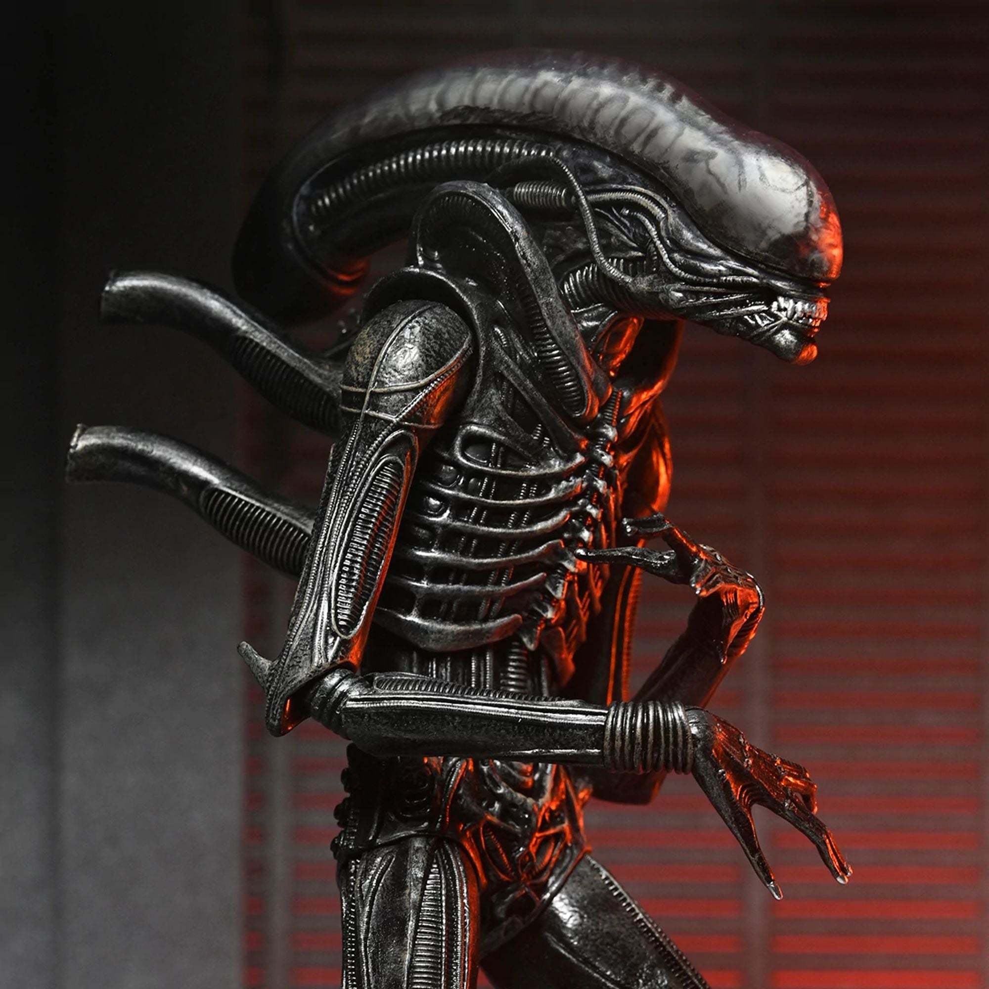 ALIEN: ROMULUS- 7" SCALE ACTION FIGURE - ULTIMATE XENOMORPH XX121