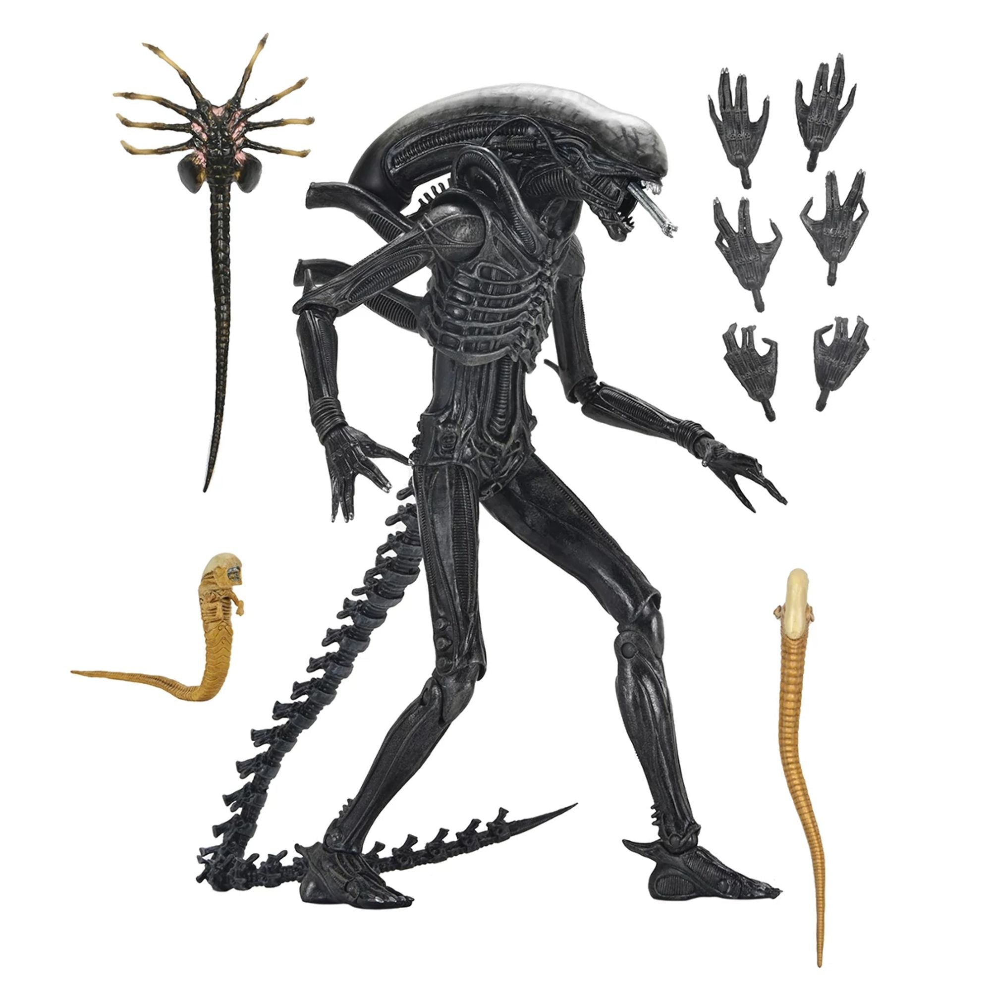 ALIEN: ROMULUS- 7" SCALE ACTION FIGURE - ULTIMATE XENOMORPH XX121
