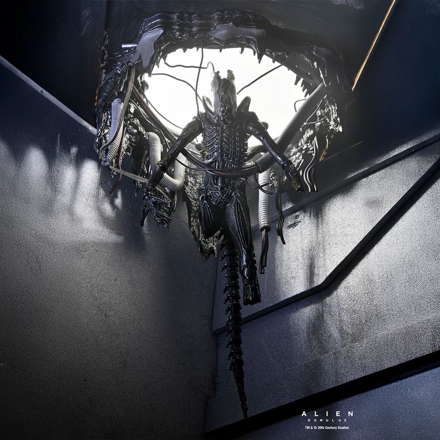 ALIEN: ROMULUS - 7" SCALE ACTION FIGURE - DELUXE SUSPENDED LAB XENOMORPH XX121