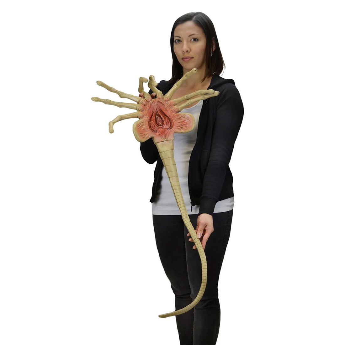 ALIEN - FOAM PROP REPLICA - LIFE-SIZE FACEHUGGER