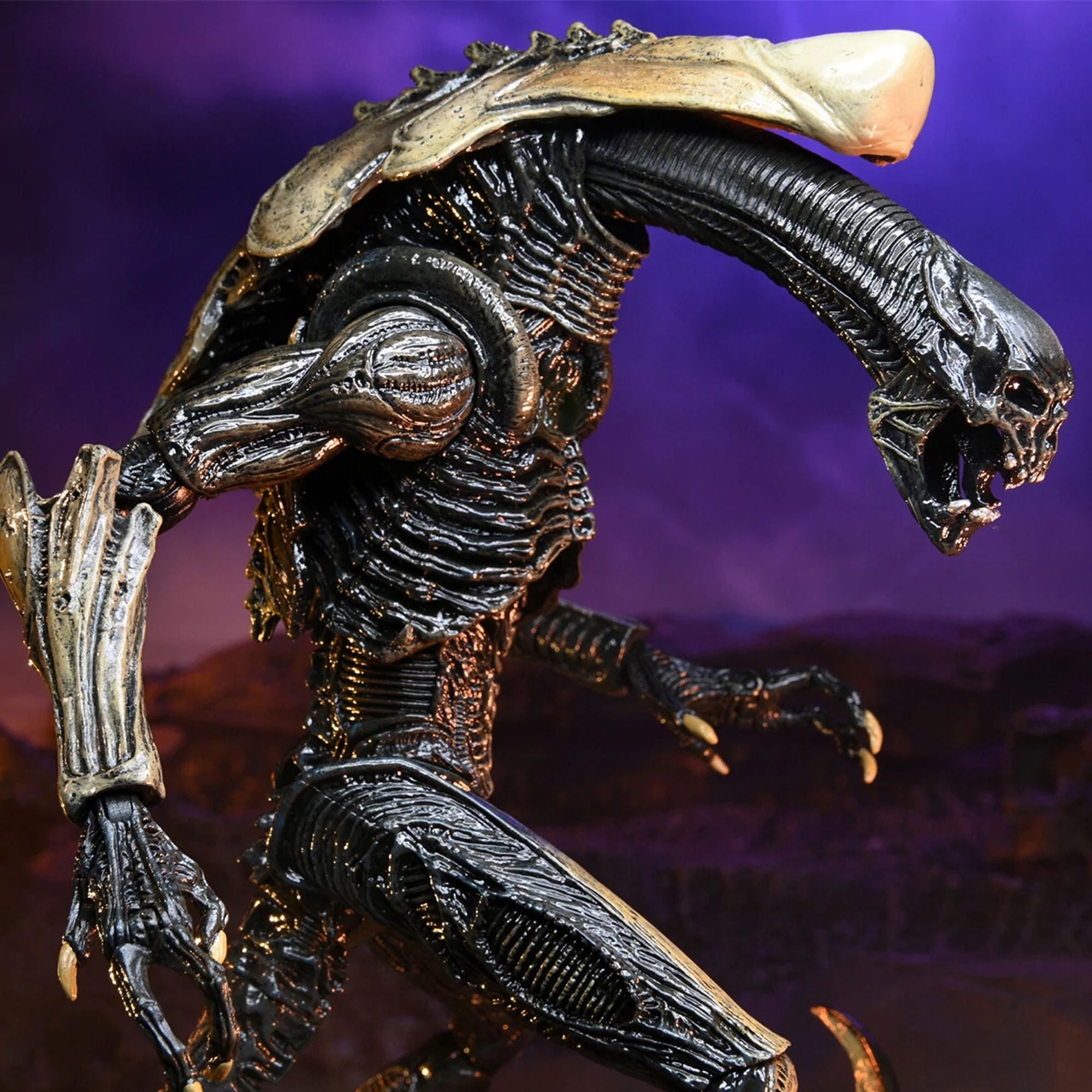 ALIEN VS PREDATOR – 7” SCALE ACTION FIGURE – ALIEN CHRYSALIS (MOVIE DECO)