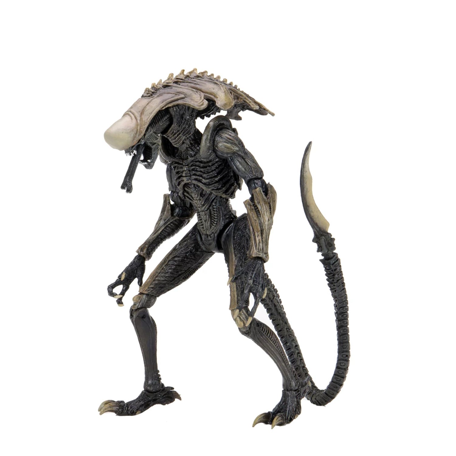 ALIEN VS PREDATOR – 7” SCALE ACTION FIGURE – ALIEN CHRYSALIS (MOVIE DECO)