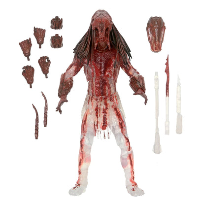 PREY - 7” SCALE ACTION FIGURE - ULTIMATE FERAL &quot;BEAR BLOOD” PREDATOR