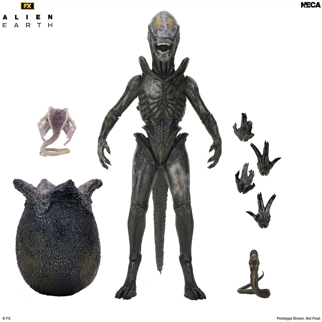 ALIEN EARTH - 7" SCALE ACTION FIGURE - ULTIMATE WENDY&
