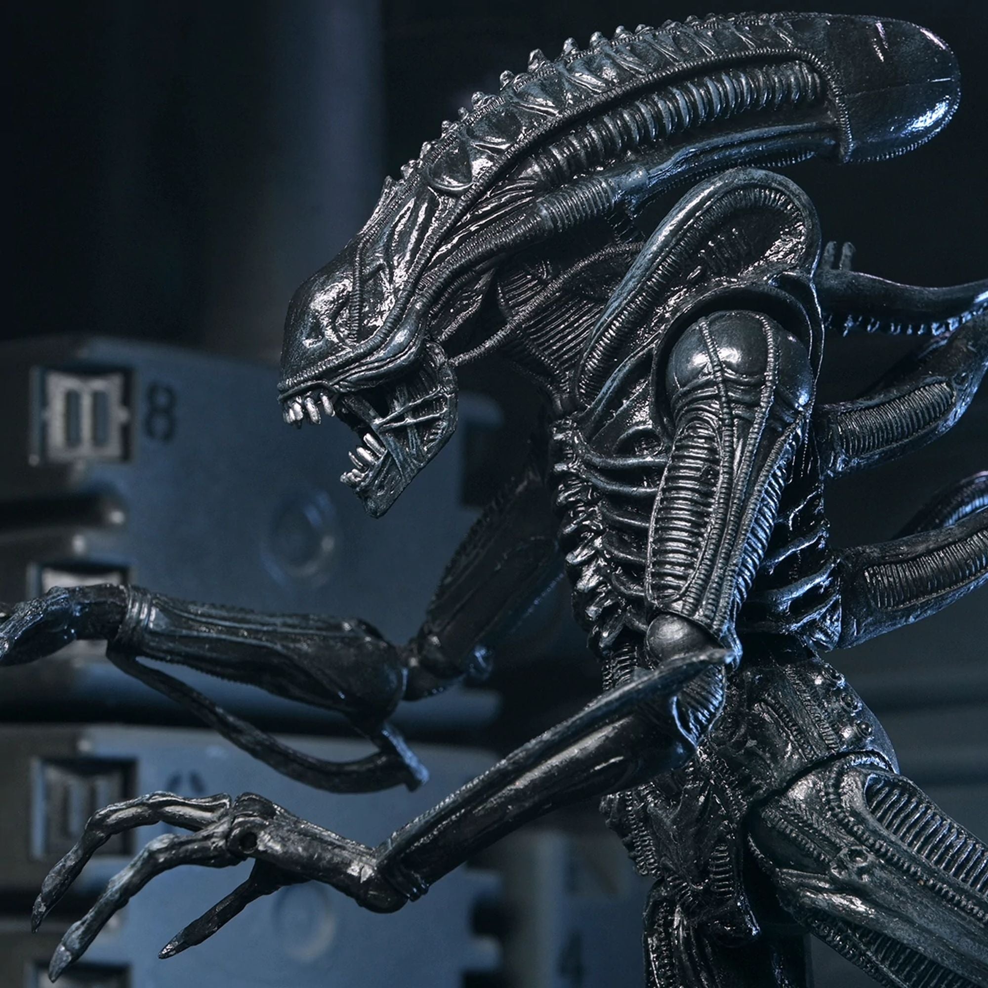 ALIENS - 7" SCALE ACTION FIGURE - 40TH ANNIVERSARY ULTIMATE WARRIOR XENOMORPH (BLACK)