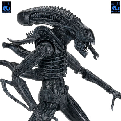 ALIENS - 7" SCALE ACTION FIGURE - 40TH ANNIVERSARY ULTIMATE WARRIOR XENOMORPH (BLACK)