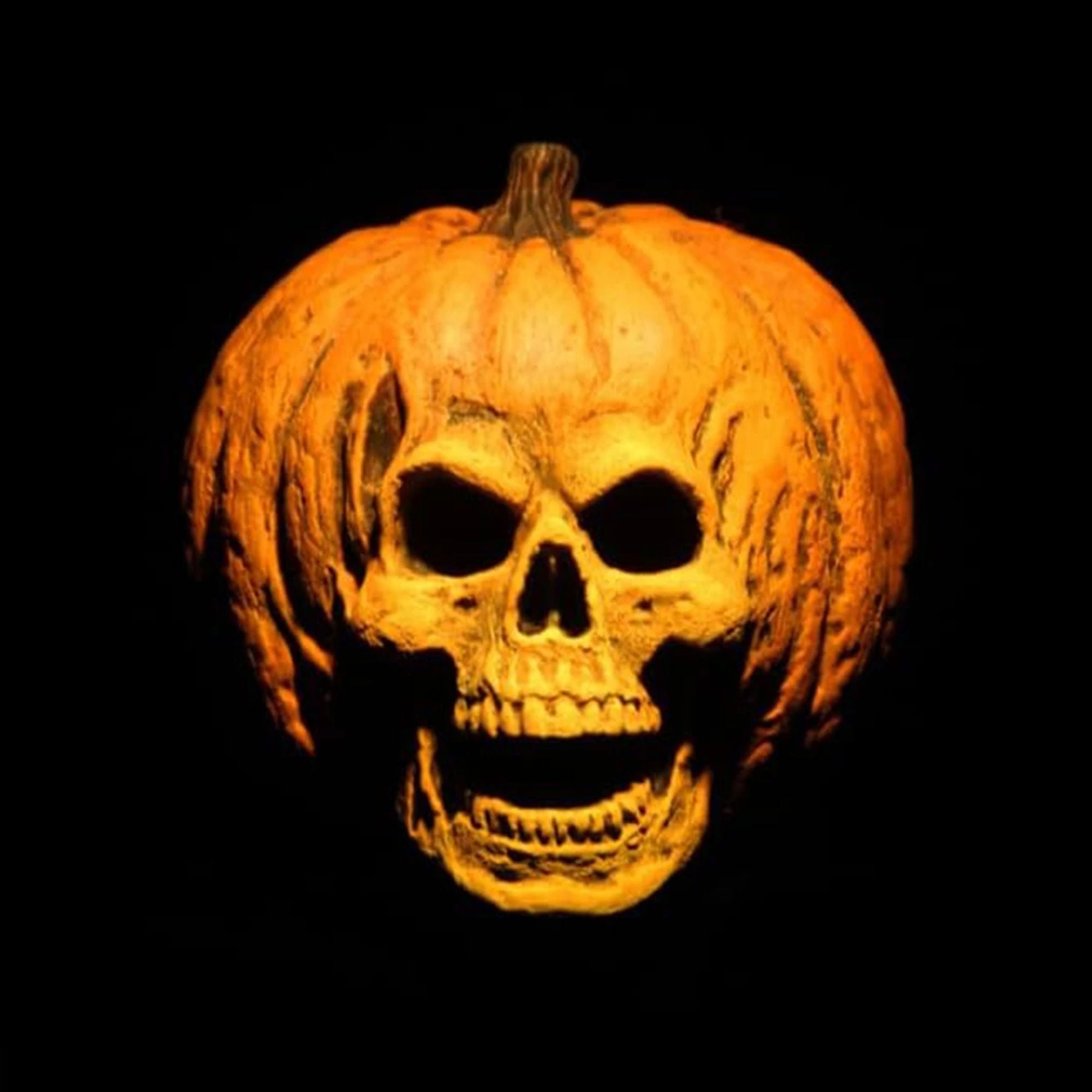 HALLOWEEN 2 (1981) 8” CLOTHED ACTION FIGURE 2 PACK- DR. LOOMIS AND LAURIE STRODE